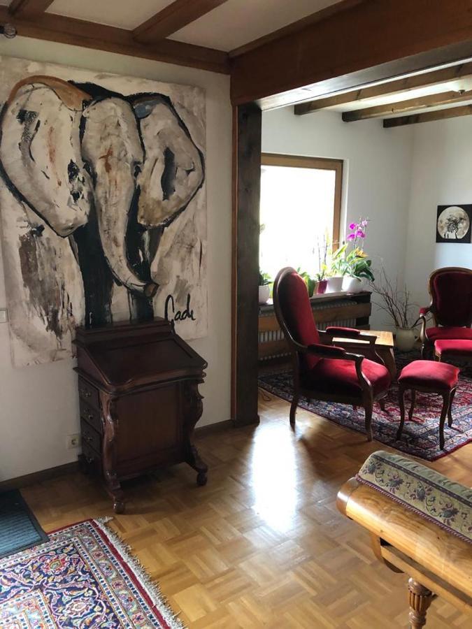 Am Sommerberg - Greschuk Apartments 费尔德伯格 外观 照片